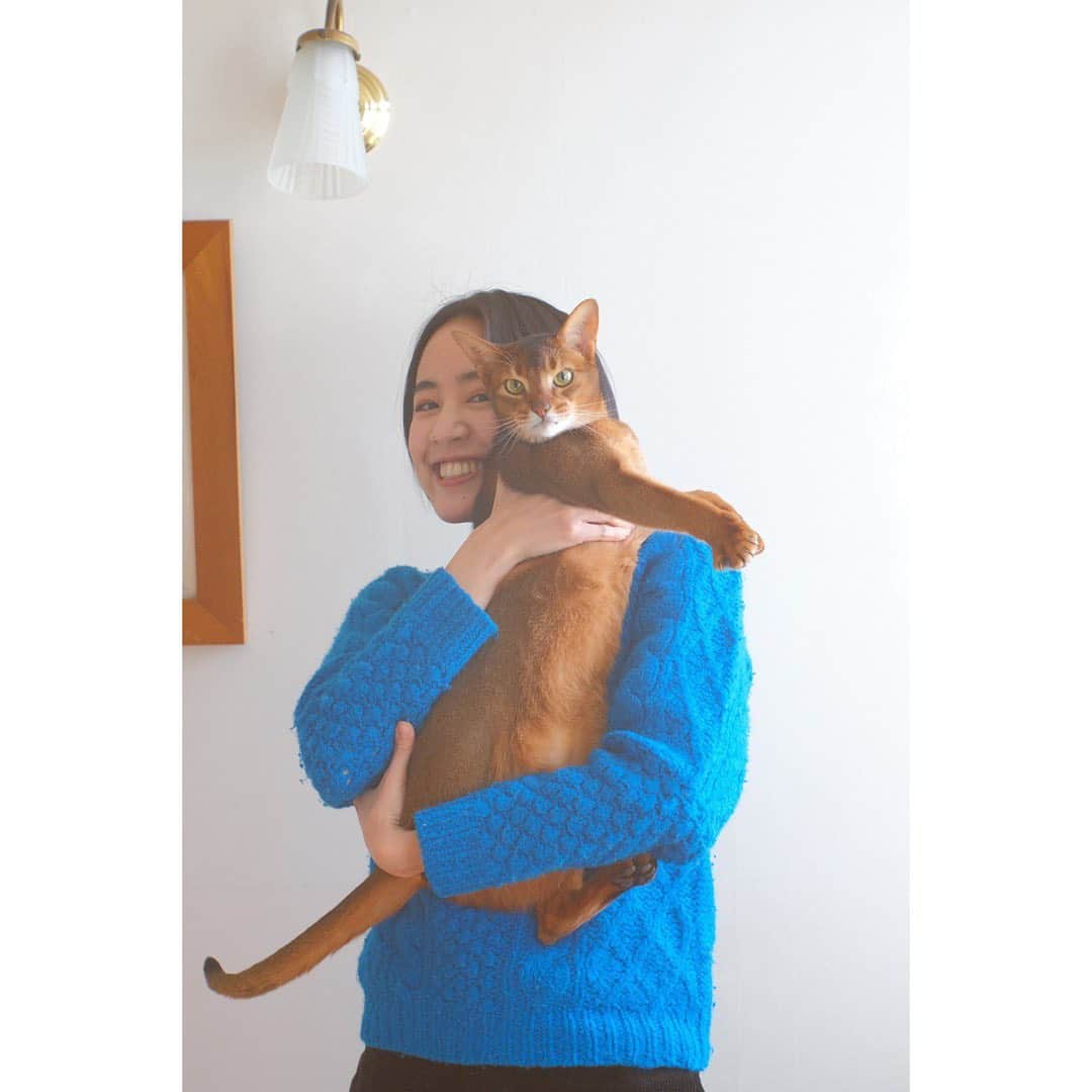 石橋静河さんのインスタグラム写真 - (石橋静河Instagram)「🐾 @brutusmag 猫特集号にのってます。  「愛猫を腕で抱いている写真」ということだったのですが、抱っこが嫌いすぎてめっちゃおこでした。ごめんよ。  Photo by bro @taiga.foto」4月1日 17時04分 - shizuka_isbs