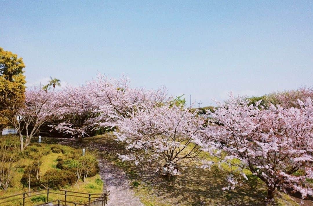 三橋栄香さんのインスタグラム写真 - (三橋栄香Instagram)4月1日 18時03分 - mihashi_haruka