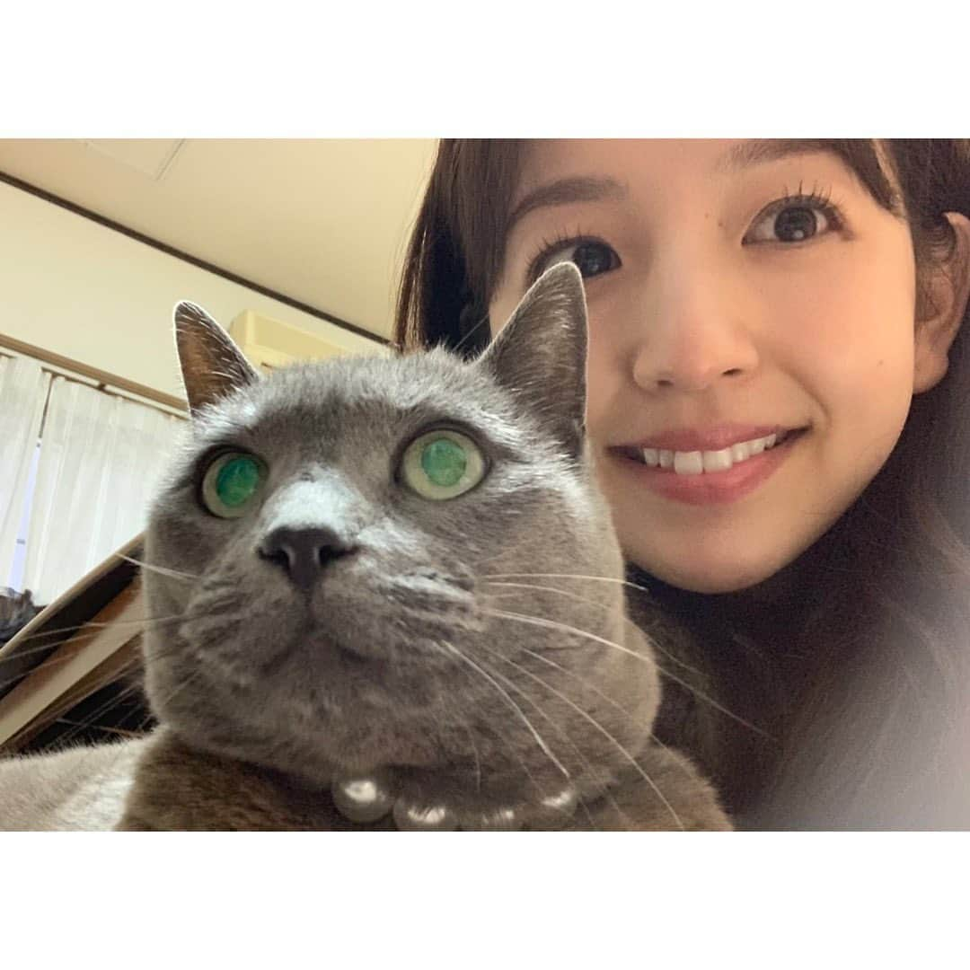 伊藤弘美さんのインスタグラム写真 - (伊藤弘美Instagram)「☺︎﻿ ﻿ 今日は3回目の結婚記念日と﻿ 実家の猫ジャスミンの18回目のお誕生日🎂✨﻿ ﻿ これからも家族みんな健康で﻿ 笑顔で過ごせますように🌸﻿ ﻿ #20210401﻿ #2年程前の写真が出てきました﻿ #エイプリルフールだけど嘘じゃないよ﻿ #結婚記念日　#お誕生日﻿」4月1日 19時02分 - hiromi_ito831