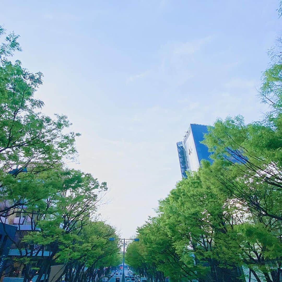 のインスタグラム：「🍀今日の表参道🍀  人通りは少し増えた感じがありますね。  🍎アップルストアの前は長蛇の列😅  表参道FTCの店舗でも 例年と同じく UVケア製品を手にして下さるお客様が増えています✨🌞✨ 紫外線も心配！ 髪にも使えるUVケアスプレーを使って、頭皮と髪を紫外線から守っています。  顔は 絶対にマッサージしませんが、 頭皮は朝晩良く マッサージしてます😊 髪の為に頭皮はとても大切ですよね。 この育毛ローションを つけてから、 生え際と頭頂部を ほぐすと オデコや目元が キュッとします❣️  #ftcbeauty #ftc #君島十和子 #ftcbeauty #ftc #君島十和子 #十和子肌 #skincare #スキンケア #美肌 #ビューティー  #美容  #instaskincare  #instabeauty #フェリーチェトワコ #ftcaoyama #ftc店舗 #表参道コスメ #tokyocosmetics」
