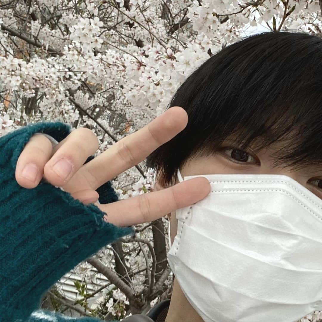 酒寄楓太さんのインスタグラム写真 - (酒寄楓太Instagram)「花粉がなければ春大好き👍  #2tA」4月1日 19時21分 - fuuta_ss
