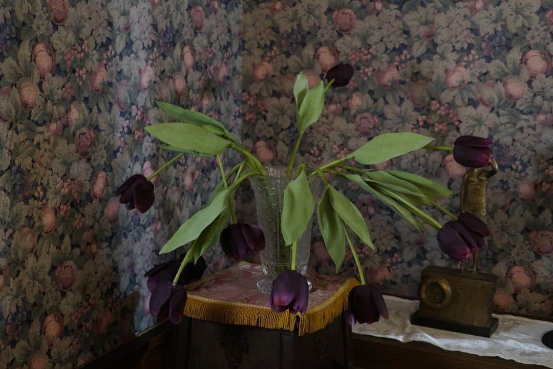 リカ〜リバース〜さんのインスタグラム写真 - (リカ〜リバース〜Instagram)「🥀リカリバース　放送まであと２日🥀  例の紫のチューリップですが、こんな写真がありました。  なんだか意思を持っていそうなバラバラ感…」4月1日 20時02分 - rika____28
