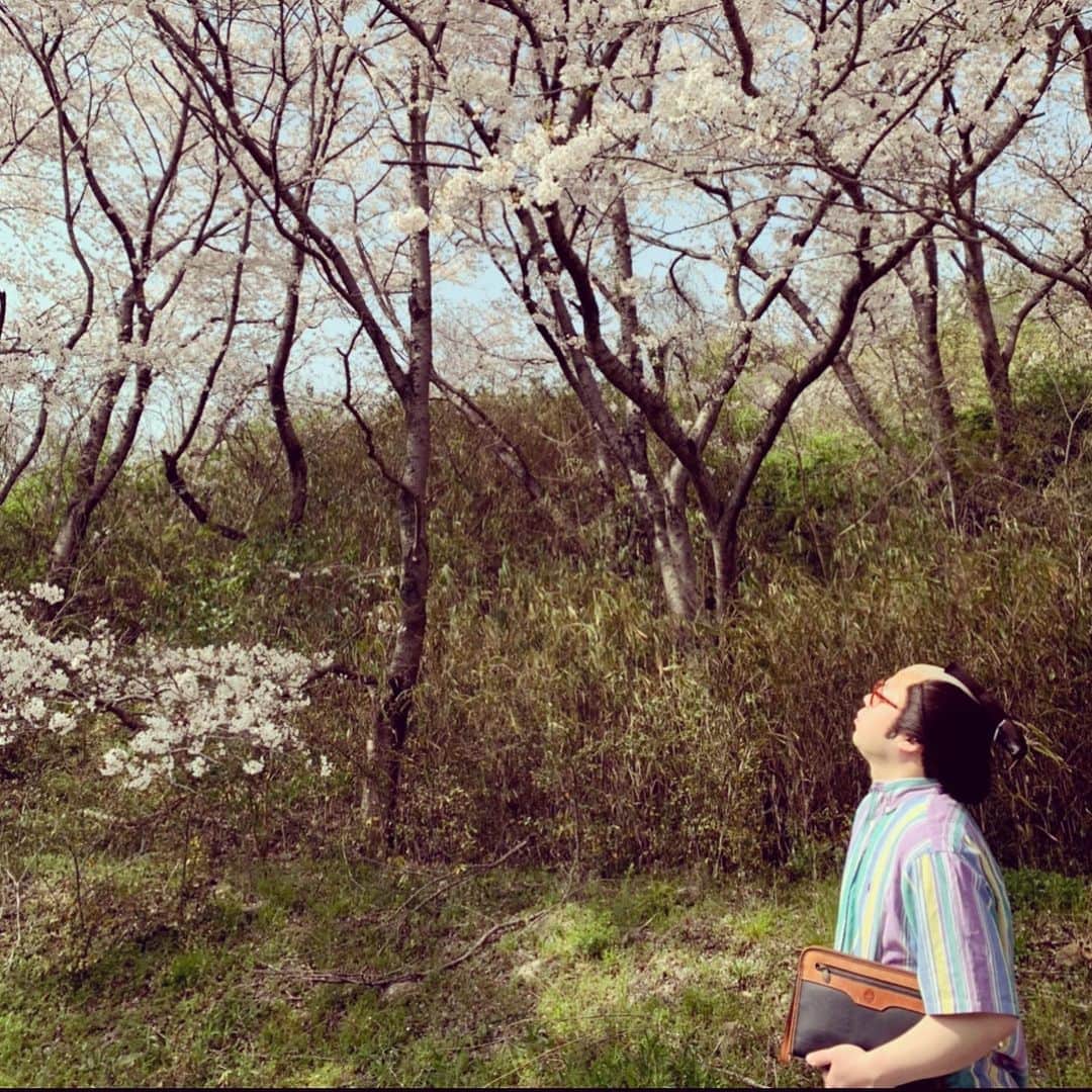 西澤裕介さんのインスタグラム写真 - (西澤裕介Instagram)「岸です。桜も咲き乱れてるわ。 桜いつもありがとうな。 #千鳥の #クセがすごいネタGP #出てるねん #見てみて #岸大介 #太秦の空き時間 #何してますのん」4月1日 20時03分 - uzumasano.akijikan