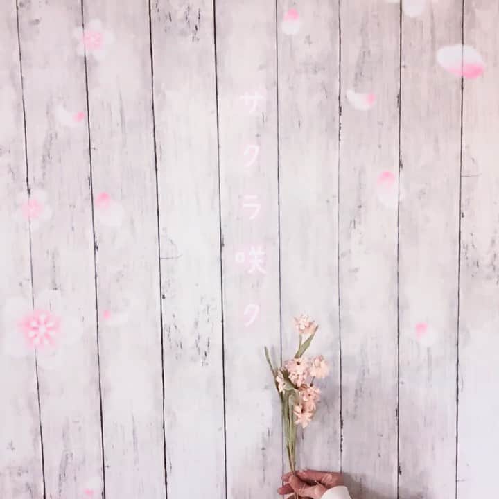 のインスタグラム：「また１つ歳を重ねました。 4月1日とは色々な事が新しくなったり、変わったりする日ですね。 私は焦らずゆっくりとはいかないけれど、自分を見失わないよう生きるのだ☺️ママ、パパありがとう🌸 #4.1」