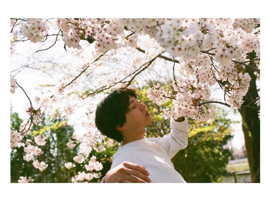 坂東龍汰さんのインスタグラム写真 - (坂東龍汰Instagram)「満開」4月1日 23時28分 - ryota_bando