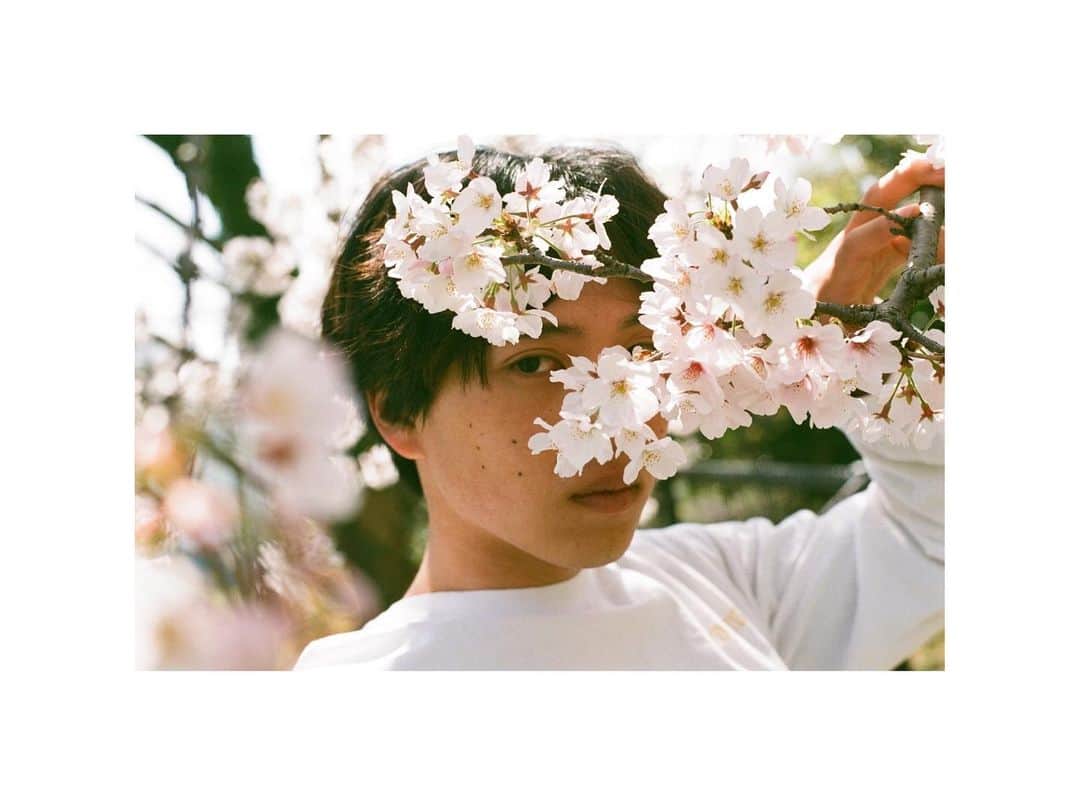坂東龍汰さんのインスタグラム写真 - (坂東龍汰Instagram)「満開」4月1日 23時28分 - ryota_bando