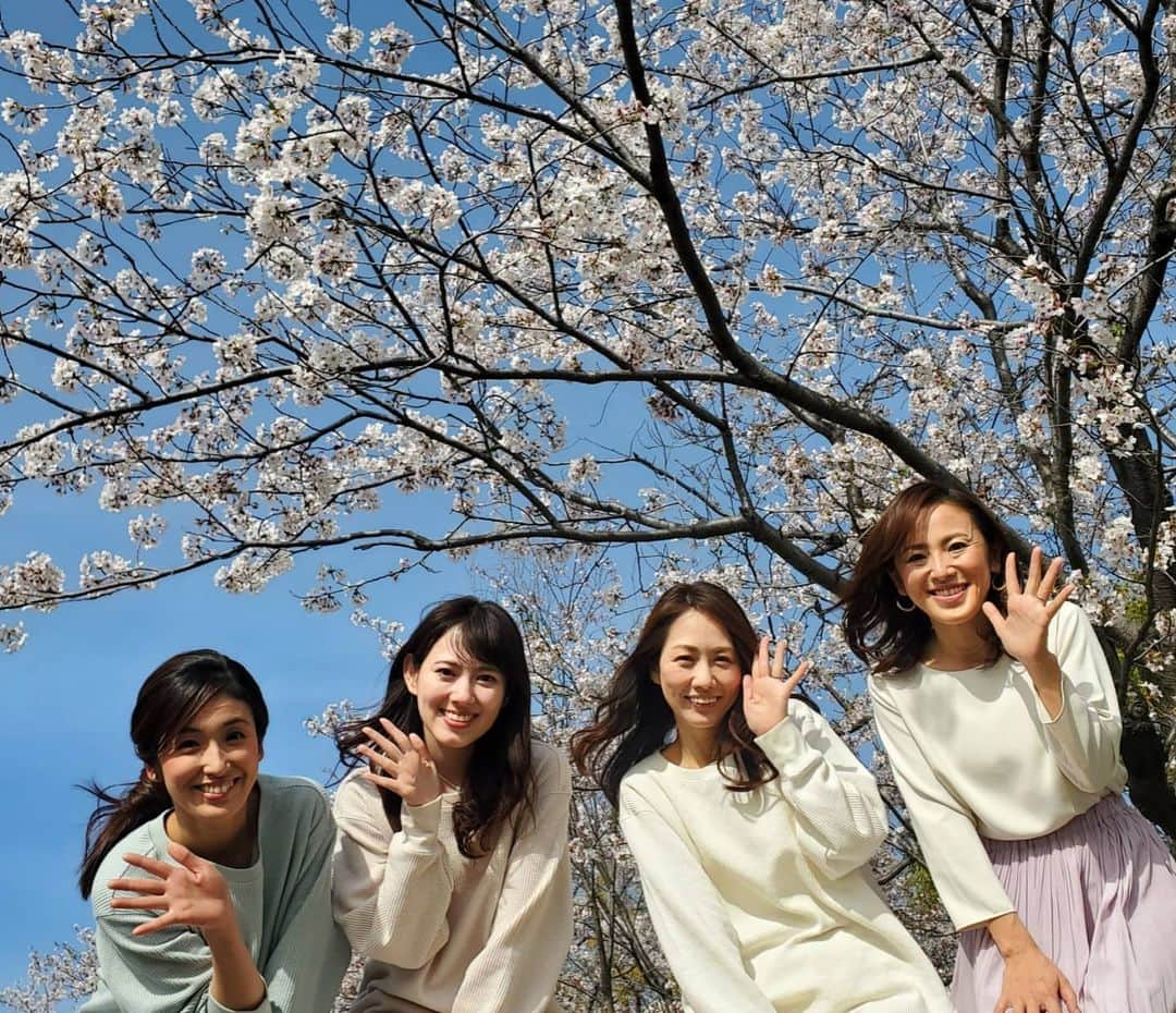 広島ホームテレビ「HOME NEXT neo」さんのインスタグラム写真 - (広島ホームテレビ「HOME NEXT neo」Instagram)「新年度スタート🌸  いろいろ大変な１年でしたけど... 気持ち新たに、新生活、前向きに頑張りたいですね🍀🍀  渡辺です。ホームテレビ裏の桜🌸 満開な上に青空がキレイな１日✨ 📸撮影に行ってみると...  後輩たちがYouTube撮影📹️をしていました🤩 (「家トレ」動画の更新をお楽しみに🎵) おじゃまして、みんなで桜と🌸  この時いなかった八幡アナ... と桜のコラボは、TikTokで楽しめますよ❤️  今日の5up!衣装も、花柄ブラウス🌼春爛漫です🌸  #衣装 #katherineross #キャサリンロス #太田川 #桜 #満開 #ホームテレビ #アナウンサー #小嶋沙耶香 #八木美佐子 #坪山奏子 #渡辺美佳 #八幡美咲」4月1日 23時47分 - home.announcers