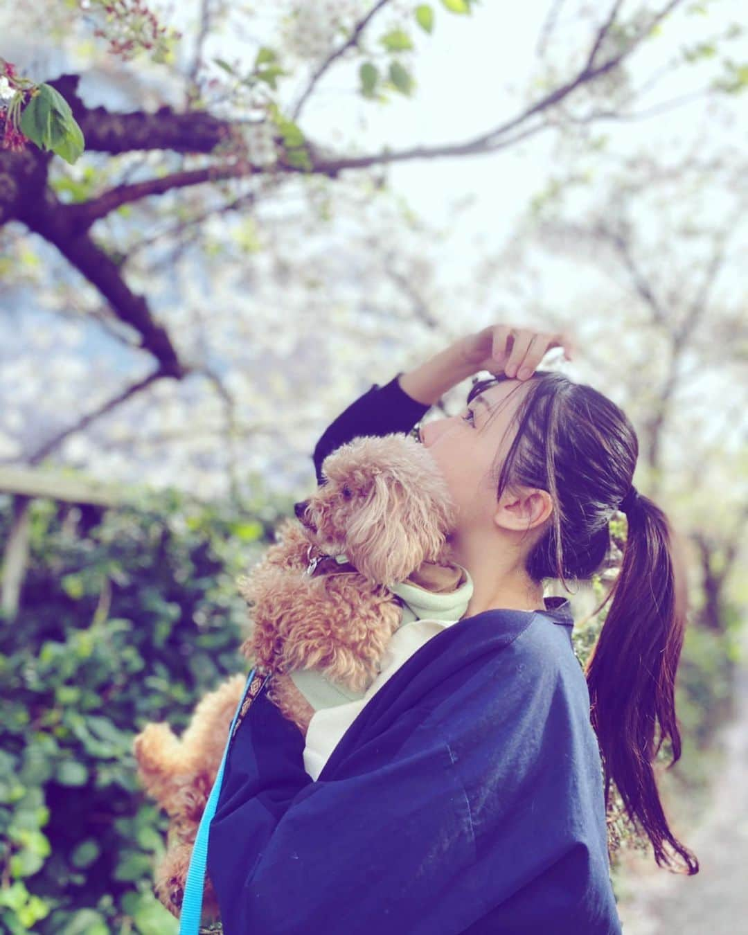 稲森美優さんのインスタグラム写真 - (稲森美優Instagram)「世界の環境が変わって1年が経つけど  四季は必ず来てくれるのですね。  リモートワークに ソーシャルディスタンス 大勢での集まり禁止 帰省禁止 マスク必須  あっという間に世の中って変わるんだなあ☹️🌸」4月2日 3時46分 - miyuuinamori