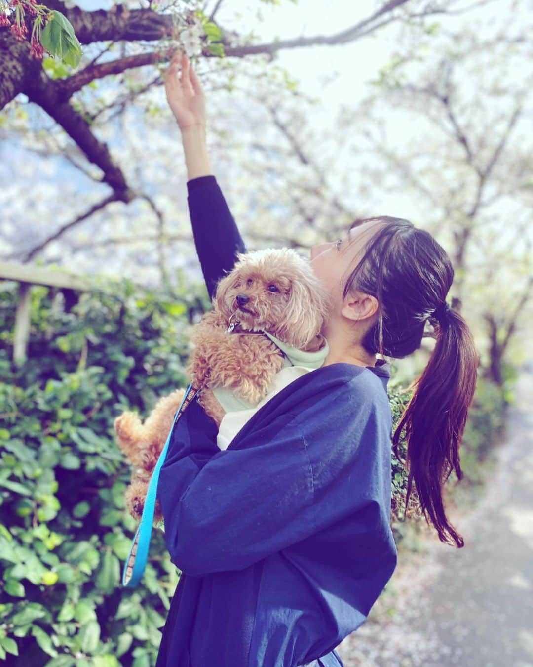 稲森美優さんのインスタグラム写真 - (稲森美優Instagram)「世界の環境が変わって1年が経つけど  四季は必ず来てくれるのですね。  リモートワークに ソーシャルディスタンス 大勢での集まり禁止 帰省禁止 マスク必須  あっという間に世の中って変わるんだなあ☹️🌸」4月2日 3時46分 - miyuuinamori