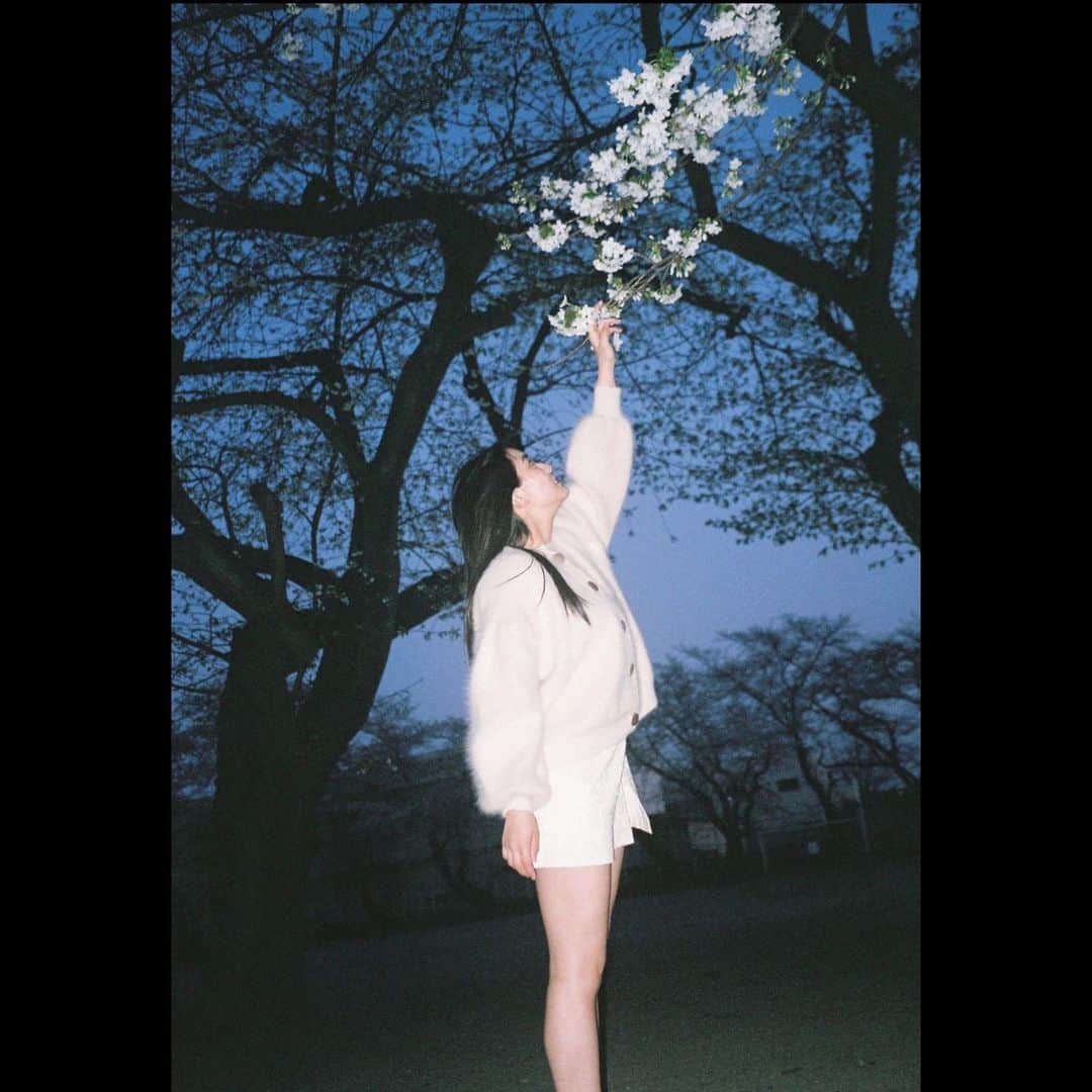 豊田留妃さんのインスタグラム写真 - (豊田留妃Instagram)「19歳の年、少し背伸びしちゃったりして。ねっ ・ ・  #film #フィルム #写真」4月2日 16時55分 - runstagram_717