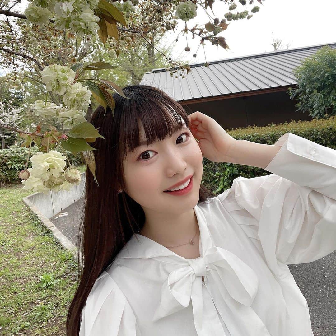 のインスタグラム：「桜見てきました🌸 　黄緑色の桜を発見しました❤︎  御衣黄桜（ギョイコウザクラ）って言うんだって🥺 　バラ科の桜ってところにびっくり🌸‼️ 　桜もたくさんの種類があるから見てて飽きないね❤︎  #桜　#御衣黄桜 #cherryblossom #photo #Instagram #instagramjapan #picture #instagramers #Spring#Japan」
