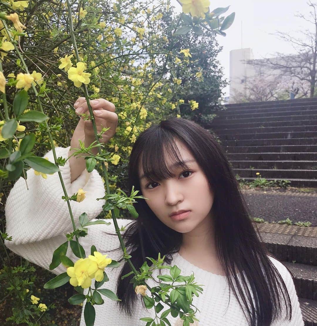 のインスタグラム：「昨日から4月スタートしましたね🌿 いろいろと楽しみです🌼 ・ ・ #4月 #朝の風景 #朝の散歩 #公園の花 #花のある風景 #花の写真 #今日の1枚 #日々の暮らし #17歳   #april #morning #yellow #flowers #flowerphotography #todaysshoot #seventeen  #followme #tagsforlikes #tflers #tagsforlikesapp #actress #actor #girl #photography #portrait #portraitphotography #daily_phot_jpn #japan_daytime_view」