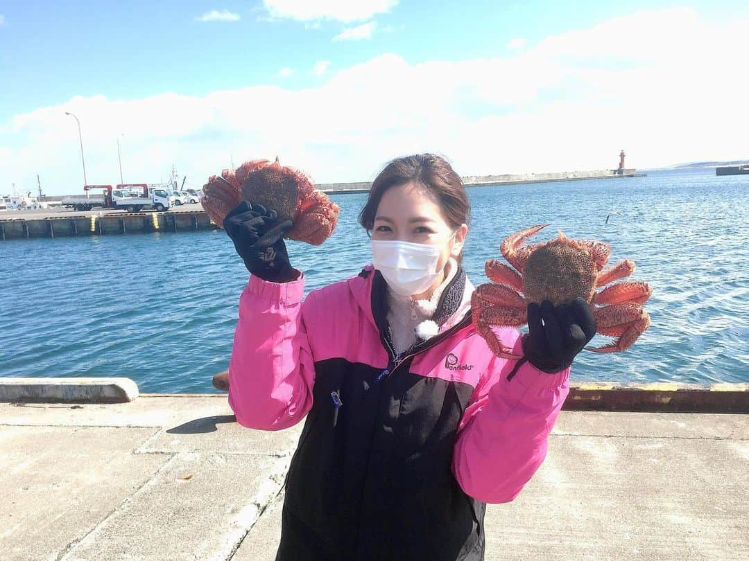 芳賀愛華さんのインスタグラム写真 - (芳賀愛華Instagram)「. 毛がには好きですか？？🦀🦀❤️ 沙留漁港に毛がに漁の取材に行ってきました😍‼︎ オホーツク海の毛がには本当に甘くて美味しい‼︎✨ そして、カニ味噌がたっぷりでものすごく濃厚‼︎✨🤤 毛がにを使った美味しい料理も教えていただきました🥰 . 明日のイチモニ6時30分〜📺 9時30分〜のイチモニでは中継させてもらいます☺️ . . . #イチモニ#毛がに#オホーツク海#沙留#興部町」4月2日 8時12分 - aika_haga