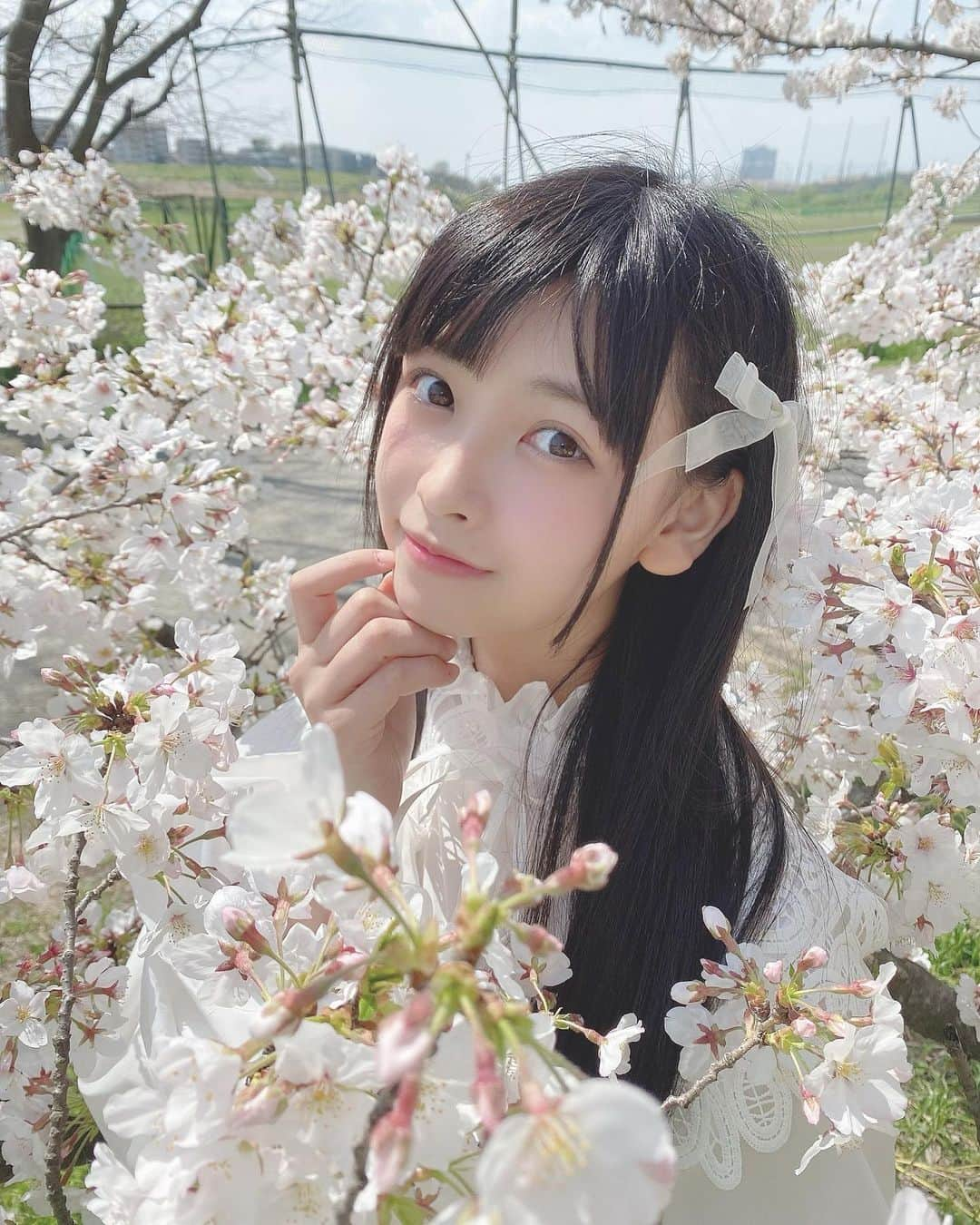 AIRIさんのインスタグラム写真 - (AIRIInstagram)「17歳になりました🌸 . . #PiXMiX #アイドル #idol #偶像 #誕生日 #桜 #春 #17歳 #17 #4月 #my #Birthday #April #cherryblossom #Spring #seventeen #生日 #十七岁 #高校生 #jk #sjk」4月2日 9時41分 - aylin200442