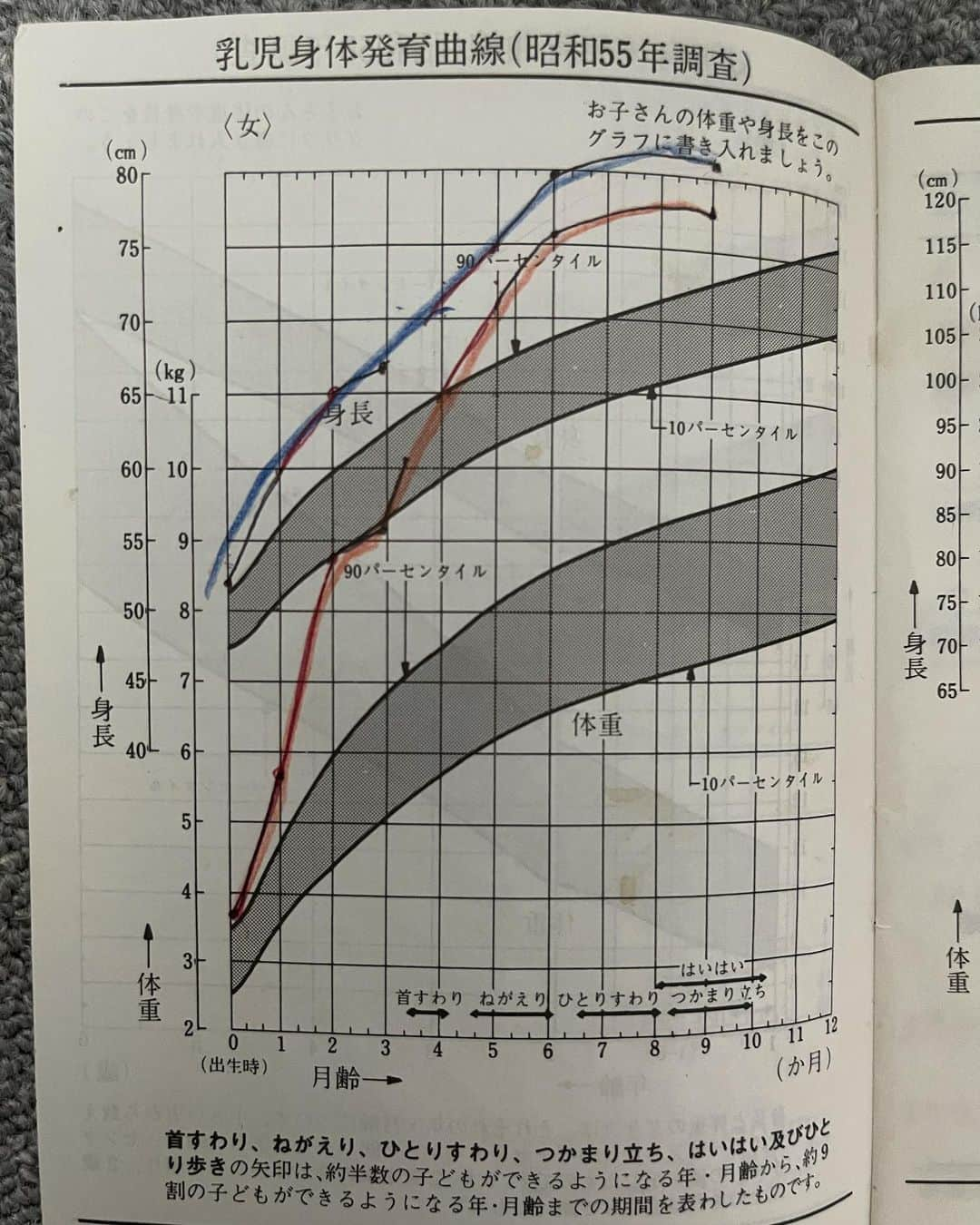 大山加奈さんのインスタグラム写真 - (大山加奈Instagram)「. . 先日お宮参りに行ってきました⛩ とっても良いお天気で お参り日和でした☺️🌸 ただ、途中からふたりともギャン泣きで なかなか大変でした😅  .  . ふたごは生後1ヶ月半が経とうとしていますが すくすく成長中で1ヶ月前とは別人のように ぷくぷくむちむちになってきました☺️ その成長のはやさにうれしい気持ちと さみしい気持ちの両方を感じています。 . . ただ…  自分の母子手帳が手元にあるのですが それをみてみると自分の成長スピードが とんでもなくて…笑。（2枚目参照） 最終的に187cmに到達する女の子の 成長曲線をご覧いただきたいと思い 写真アップしました笑。 早々に標準値を抜け出し グラフを突き抜けちゃってます笑。 それと比べるとふたりの 成長スピードはゆったりかな…笑。  . .  授乳とオムツ替えで1日が終わり それ以外のことがなにもできないくらい ふたりのお世話でいっぱいいっぱいな毎日💦 そんな中、昔から食べるのが めちゃくちゃ速いのですが それがこんなにも大きな 武器になる日が来るなんて‼︎と 食べるのが速いことに感謝する日々です笑。 . . #双子#twins #ツインズ#双胎#多胎児ママ #双子出産 #双子育児 #ddtwins #dd双胎#多胎育児 #1ヶ月ベビー #お宮参り」4月2日 10時33分 - kanaoyama0619