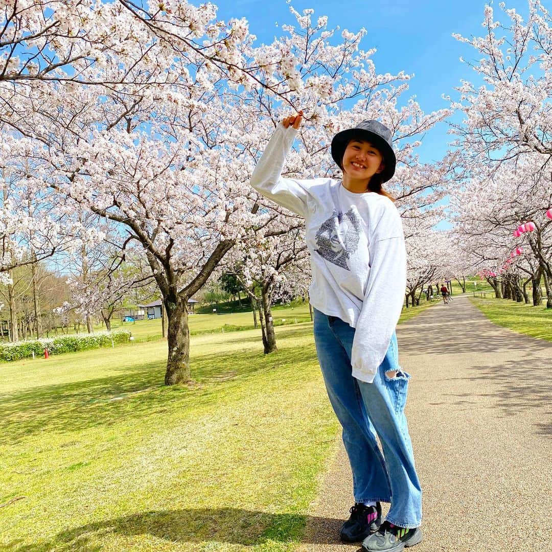 桐明輝子のインスタグラム：「🌸🌸🌸🤍 . . April Photo by @muu__601 ❤︎ #Cherry Blossoms #spring #april  #桜 #春 #🌸#4月　#桜道 #石川県  #小松市  #木場潟#木場潟公園　　　　　　 #マスクはちゃんと着けてます」