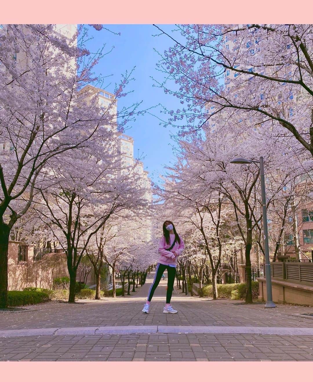 チン・セヨンさんのインスタグラム写真 - (チン・セヨンInstagram)「요즘 산책하기 너무너무 이쁘당🌸」4月2日 13時12分 - jinseyun.go
