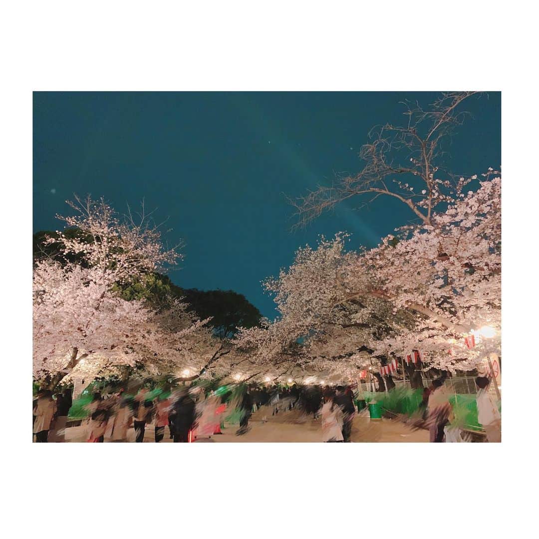 ゆまさんのインスタグラム写真 - (ゆまInstagram)「。 。 サクラ🌸 。 。 もう散り始めててびっくり 早いのね あんなに見上げてる人いたのに もうほぼ見てもらえない 。 。 すごいキレイだったなあ 。 雨が降ったら夏がくるね 。 。 #桜」4月2日 14時32分 - yumananoda