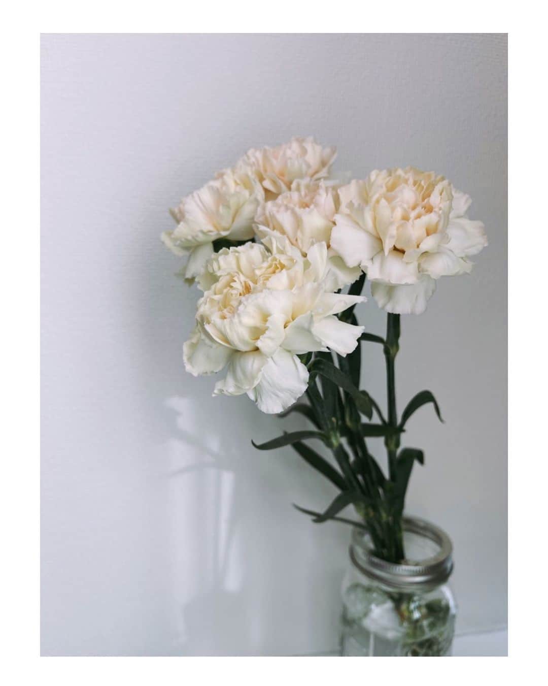板野友美さんのインスタグラム写真 - (板野友美Instagram)「今週の新入りさん🍃  白で統一した寝室に飾りました。  春は可愛らしいお花がたくさん咲いて 選ぶのも楽しいです𓂃𖤥𖥧𖥣⋆*  #flowers  #lifestyle  #お花 #お花のある暮らし  #友style」4月2日 14時58分 - tomo.i_0703