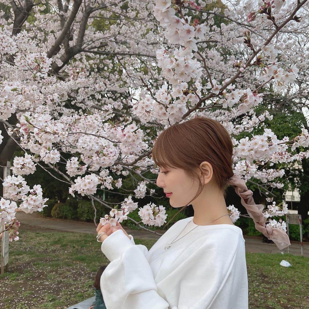 ひよんのインスタグラム：「🌸🌸🌸 ㅤㅤㅤㅤㅤㅤㅤㅤㅤㅤㅤㅤㅤ 桜たくさんの写真もあと少しでおわり🥺 あっという間に時間がすぎてくー。 ㅤㅤㅤㅤㅤㅤㅤㅤㅤㅤㅤㅤㅤ #ひよん」