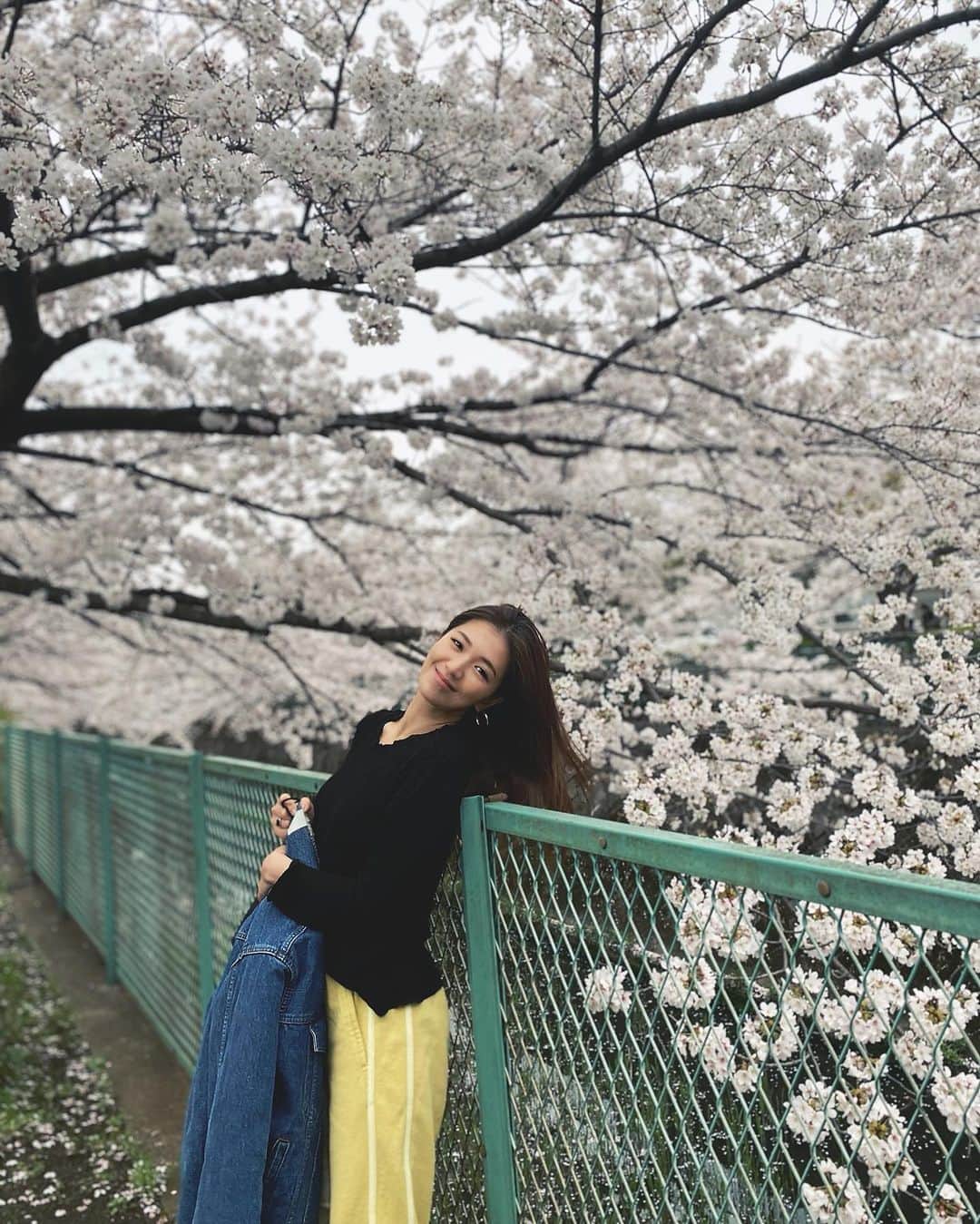 上原歩のインスタグラム