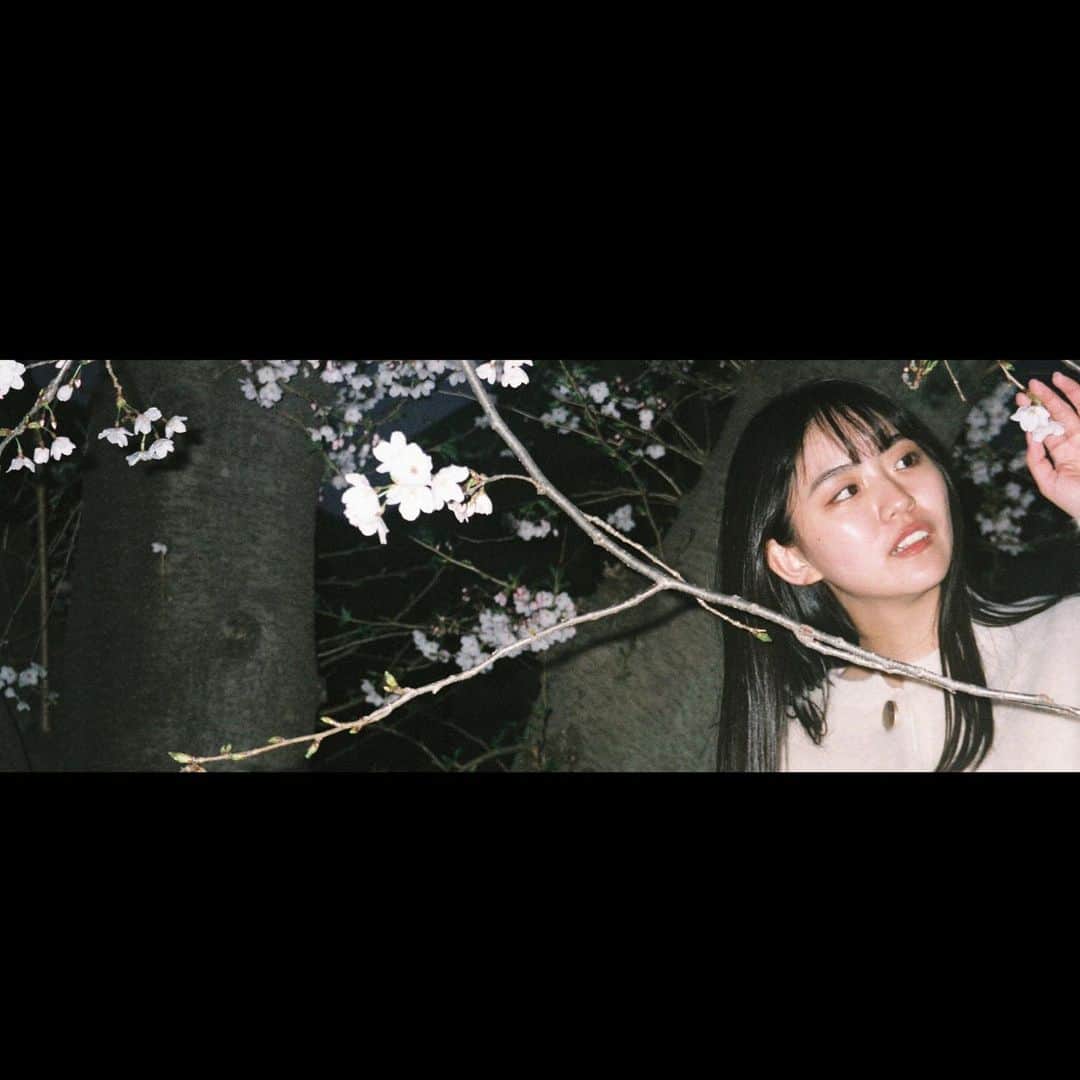 豊田留妃さんのインスタグラム写真 - (豊田留妃Instagram)「また来年、桜が咲く頃には、私ももっと素敵な人になれているかな、 ・ ・  #film #フィルム #写真」4月2日 18時24分 - runstagram_717
