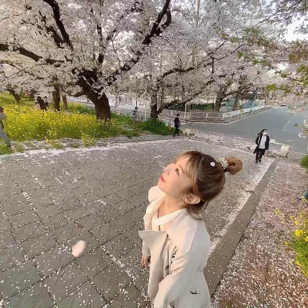 三宿菜々さんのインスタグラム写真 - (三宿菜々Instagram)「今週で散っちゃいそうだね🌸 日曜日の午後から雨みたい。  たくさん癒された〜〜☺️」4月2日 18時23分 - mishuku_nana