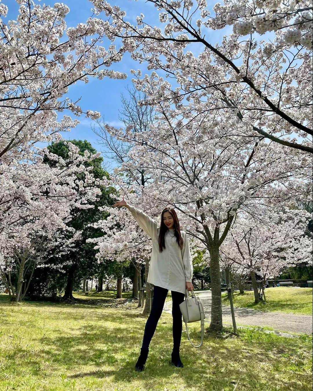 工藤めぐみのインスタグラム：「🌸  primavera no Japão 🌸 Até o ano que vem☺️✨  風に吹かれて落ちてた桜を拾ったら 可愛かった♡  ありがとう。 また来年🌸  ． ． ． ． ． #桜　#sakura #cherryblossom  #megumikudo #工藤めぐみ」