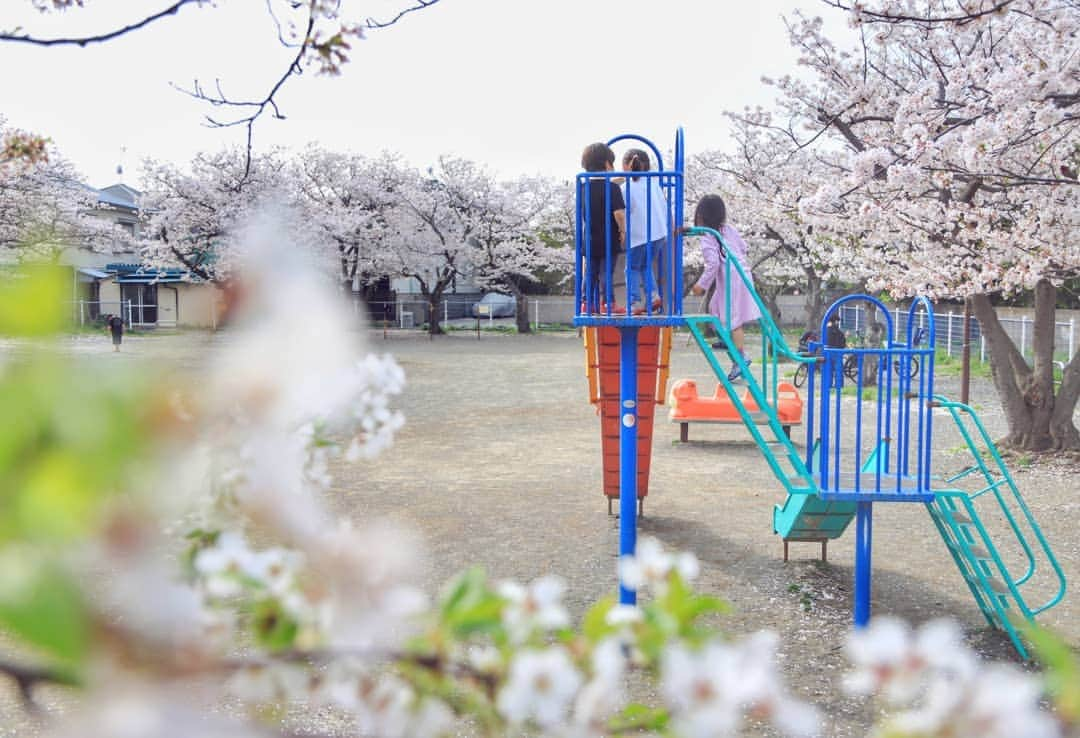 葉山町のインスタグラム