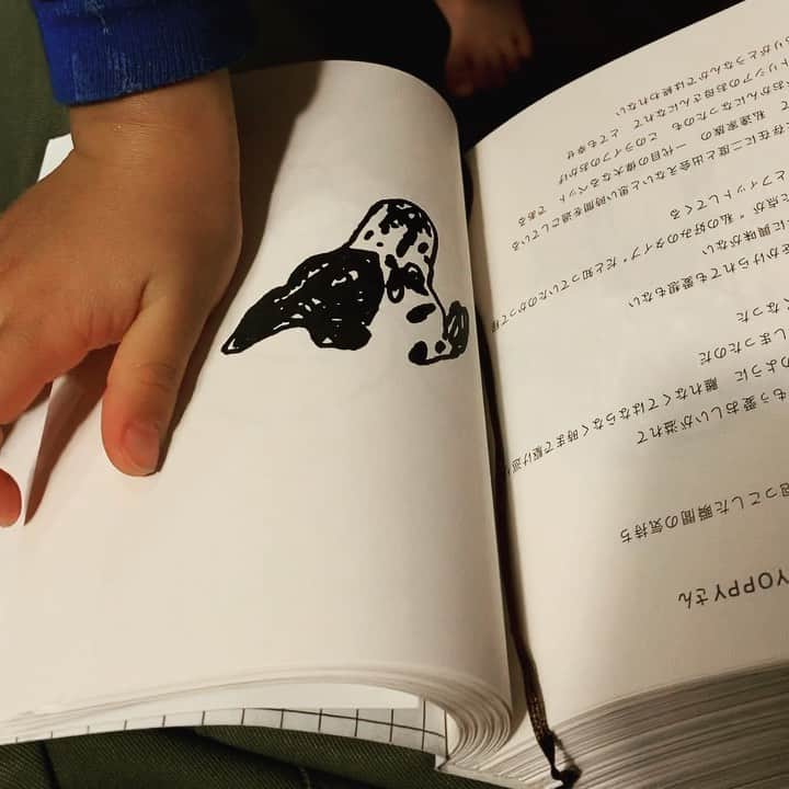 YOPPYのインスタグラム