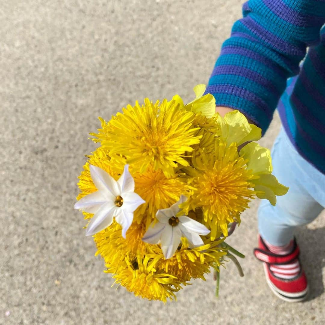 中越典子さんのインスタグラム写真 - (中越典子Instagram)「公園で たんぽぽの花束を作りました  皆様、今日も疲れたかな？ おつかれさまでした 私はもう眠くて。。笑  #たんぽぽ #真心の愛」4月2日 20時27分 - nakagoshi_noriko.official