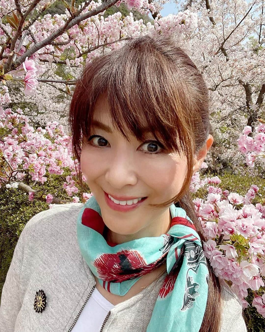 山田佳子さんのインスタグラム写真 - (山田佳子Instagram)「桜を愛でながら、今朝のお散歩😊﻿ ﻿ #桜﻿ #キレイ﻿ #今年も﻿ #見ることができてよかった  #風が吹くたび #桜の花びら #舞い散る #🌸🌸」4月2日 21時10分 - yoshiko117