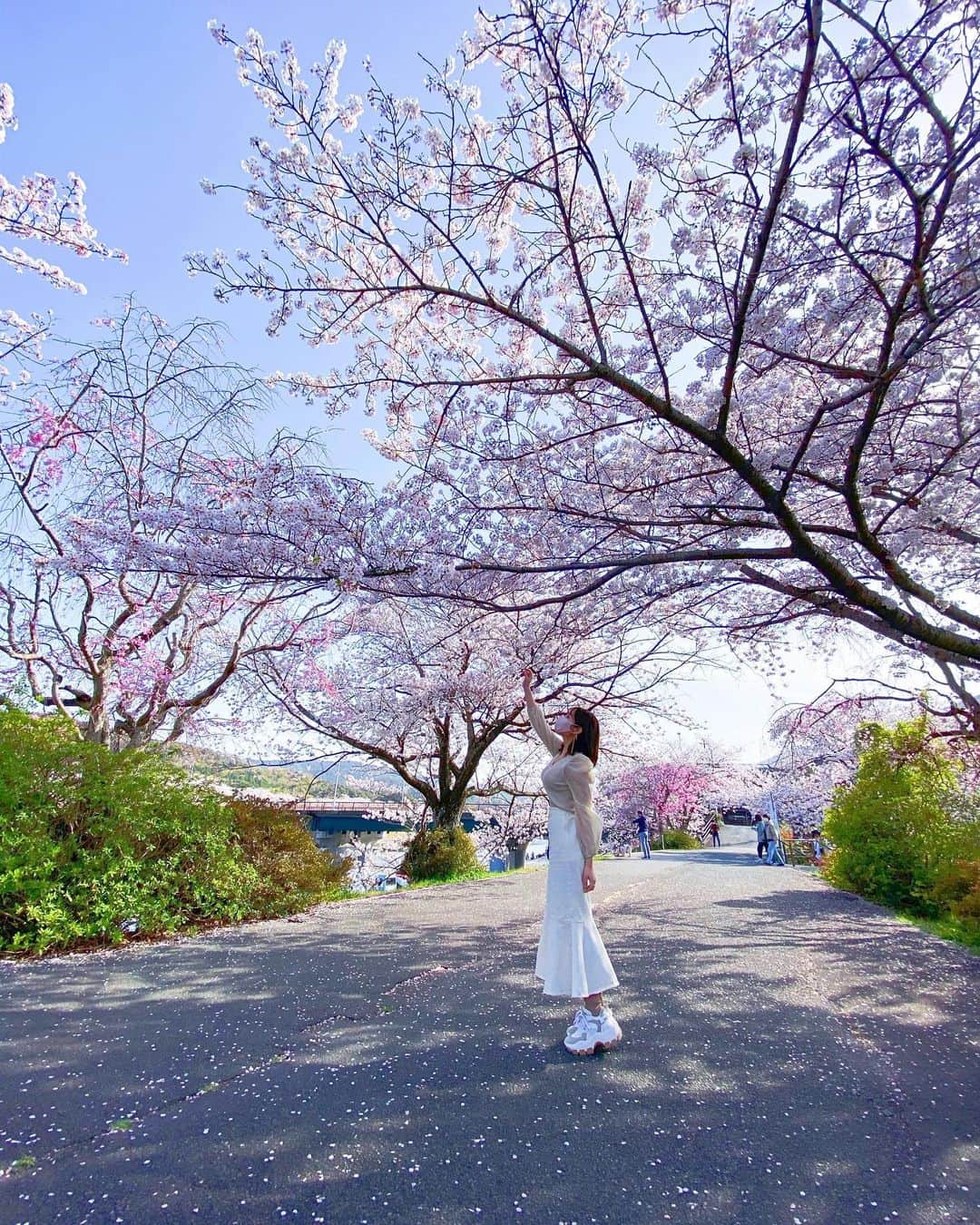 ゆいこ ◡̈♥︎さんのインスタグラム写真 - (ゆいこ ◡̈♥︎Instagram)「⋄﻿ ﻿ sakura 🌸﻿ ﻿ ﻿ 四季折々、﻿ いっぱいの表情を魅せてくれるとこ﻿ スキだ。 ﻿ ﻿ 今年も、ありがとう ♡ ♡ ♡﻿ ﻿ ﻿ ﻿ ﻿ #桜﻿ ﻿ ﻿」4月2日 21時22分 - yuiko__h