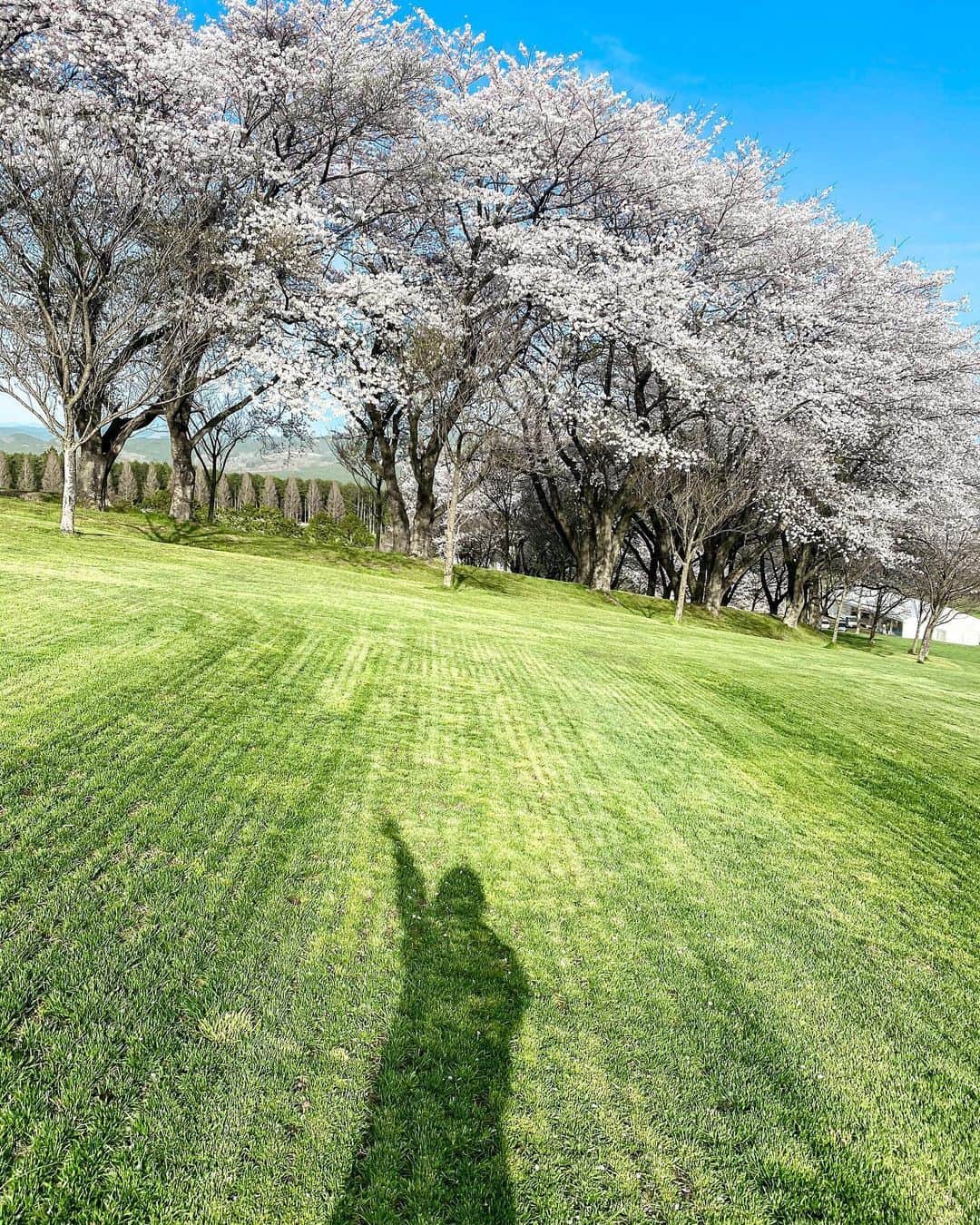 高橋美咲のグルメインスタ
