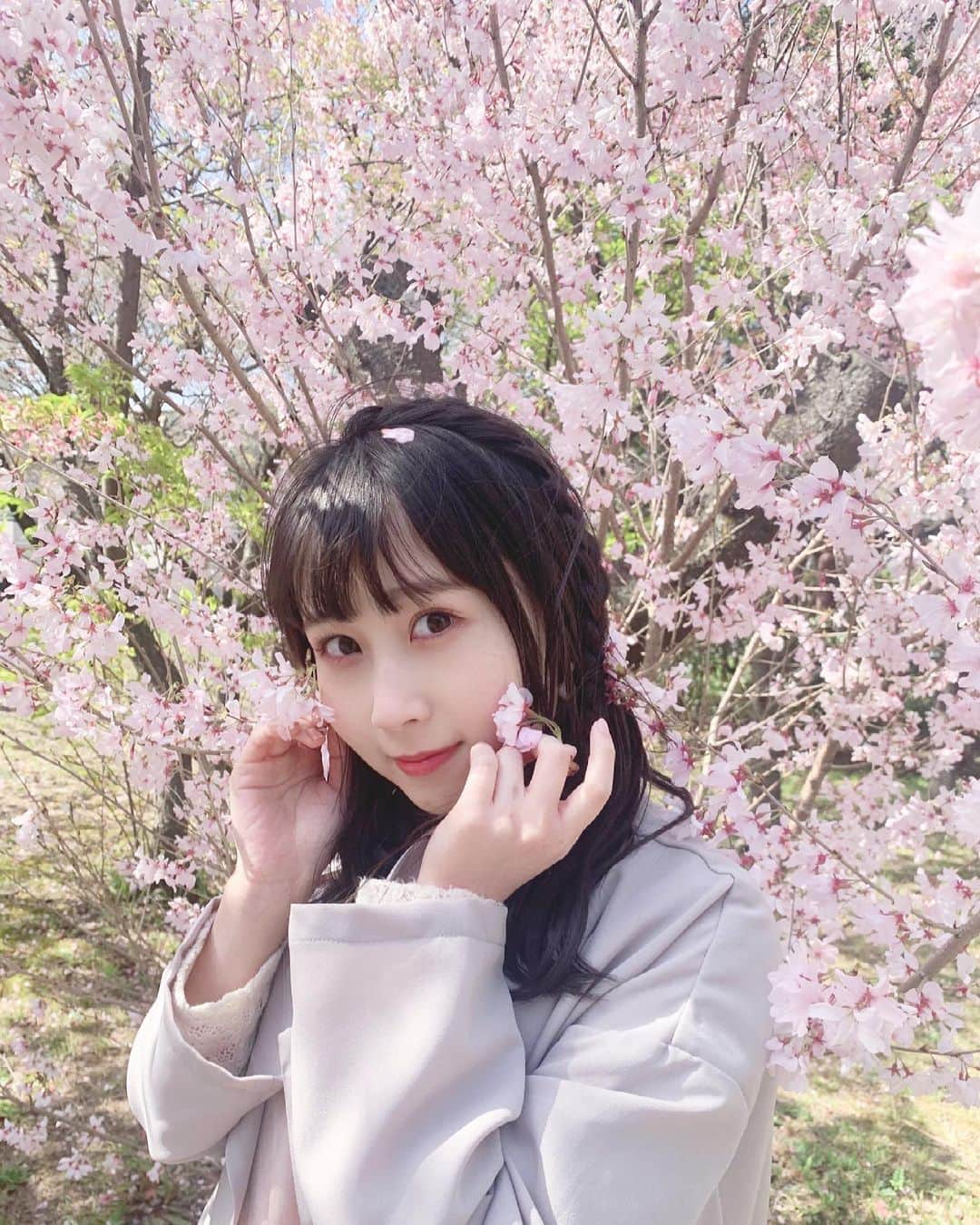 のインスタグラム：「🌸﻿ ﻿ 4月になりましたね﻿ ﻿ あと2ヶ月したら大人だ...🥺﻿ ﻿ もっと﻿ 大きな存在になれるように頑張ります🌸﻿ ﻿ #桜﻿ #4月  #これからもよろしくね  #ske #井上瑠夏  ﻿ ﻿」