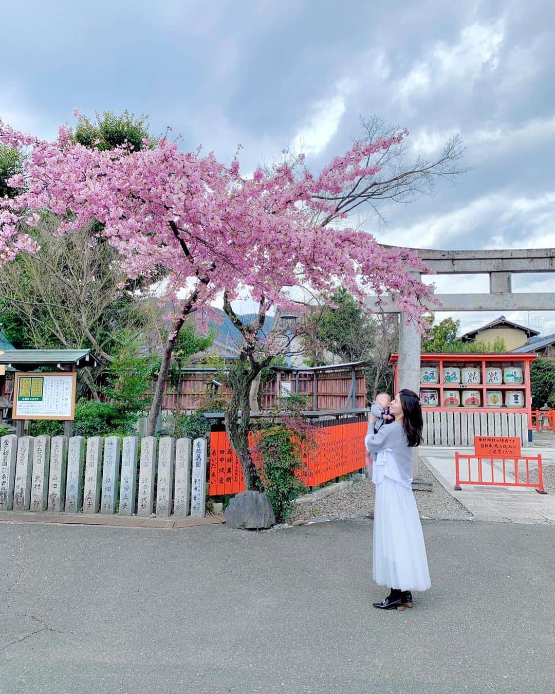 吉村優のインスタグラム：「* 少し前の車折神社🌸 ちょうど１ヶ月前でしたが この時は河津桜が見頃でした🥰 * #京都 #神社 #河津桜 #子連れ #baby」