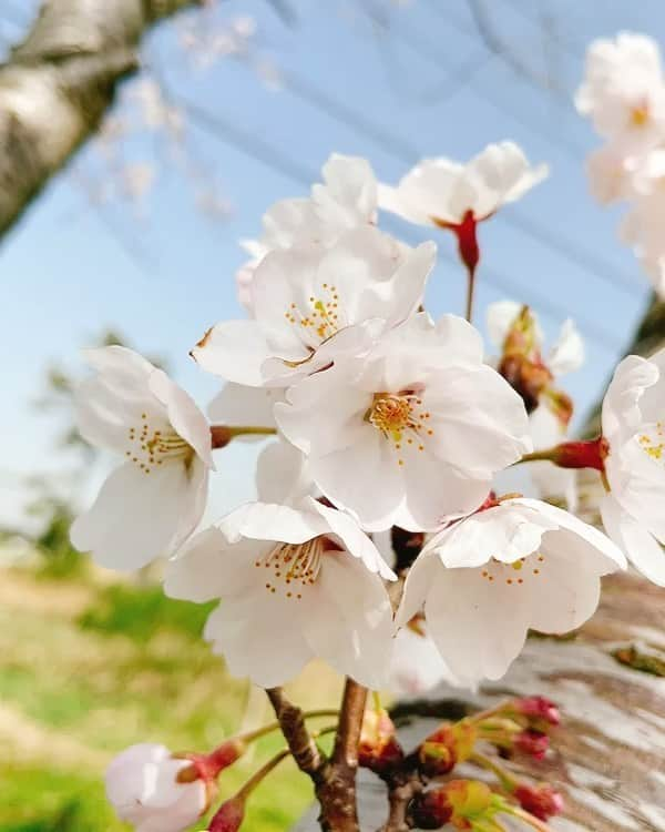 馬場ももこのインスタグラム