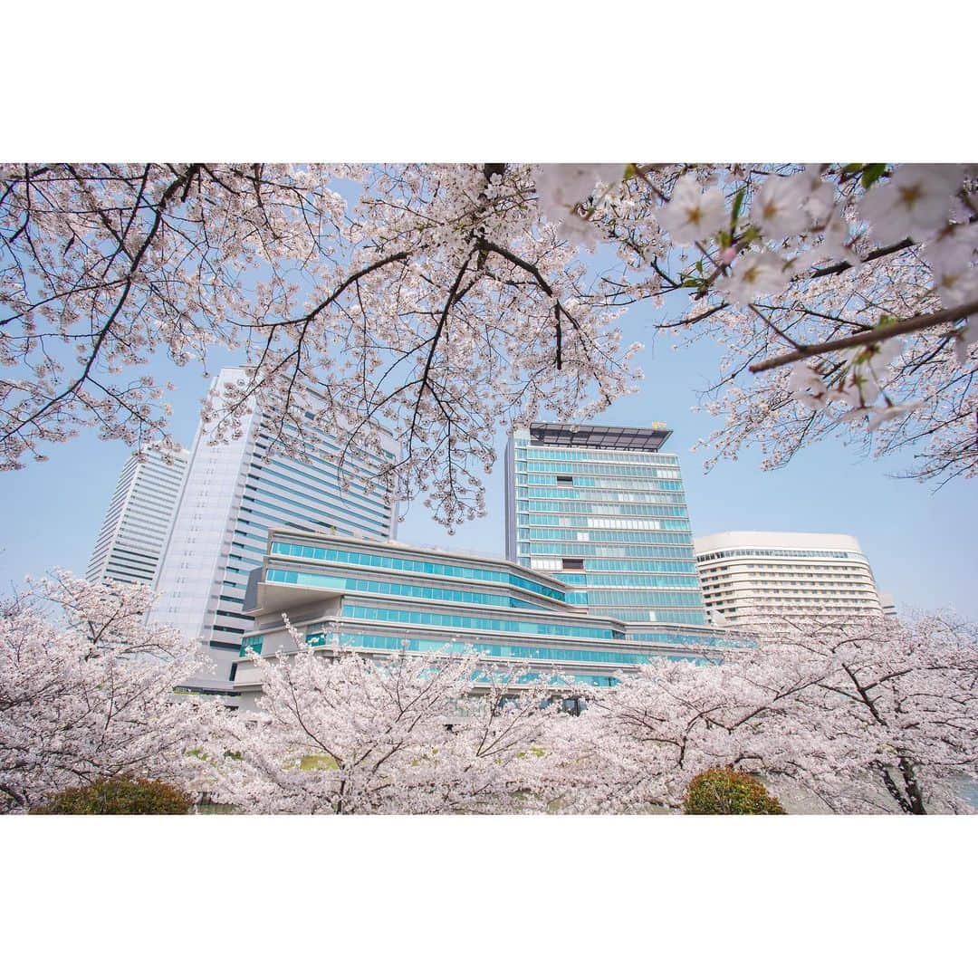 岩原大起のインスタグラム
