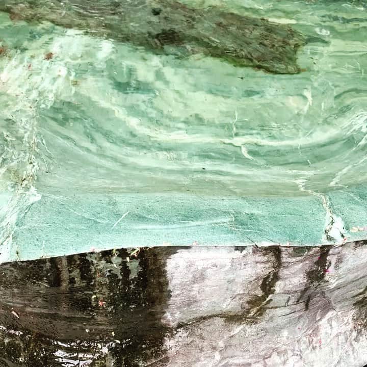 DJ AMIGAのインスタグラム：「お久しぶりの #京都 #kyoto #水盆 #日本庭園」