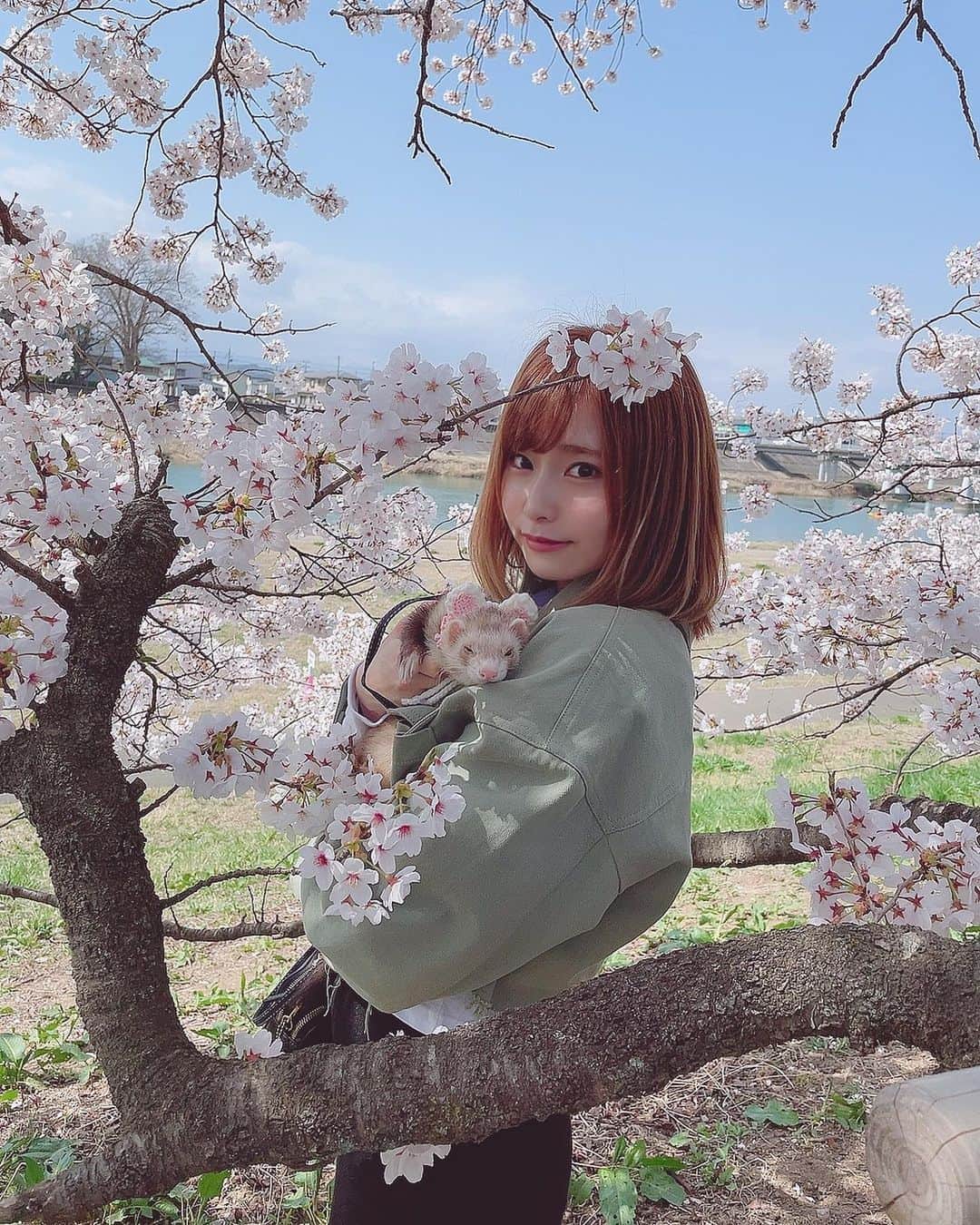 逢坂愛さんのインスタグラム写真 - (逢坂愛Instagram)「🌸」4月3日 19時39分 - aisakamegumi