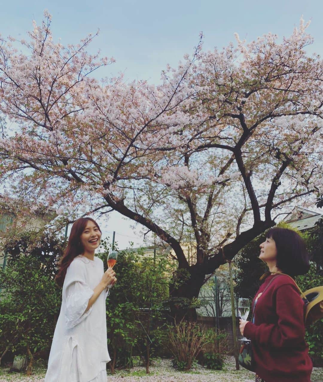 千秋さんのインスタグラム写真 - (千秋Instagram)「お友達の実家でソーシャルディスタンスお花見🌸 写真はひなと。 グラスは立派だけど中身はジュースと水です🥂  #お花見 #お庭 #cherryblossom #polobear」4月3日 20時10分 - chiaki77777