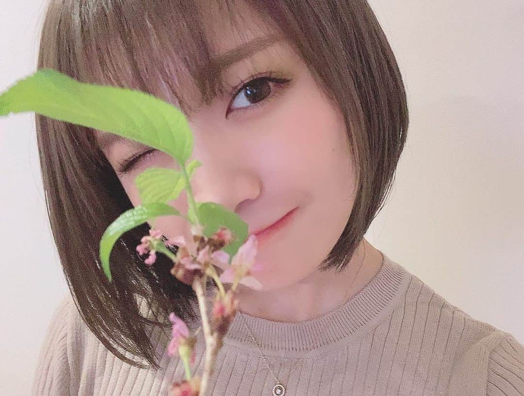 秋元真夏さんのインスタグラム写真 - (秋元真夏Instagram)「.  桜を大事に育ててたら 葉桜に🌸🍃  新しい葉っぱってこんなに うるうるしてるの🥺  #🌸」4月3日 20時39分 - manatsu.akimoto_official