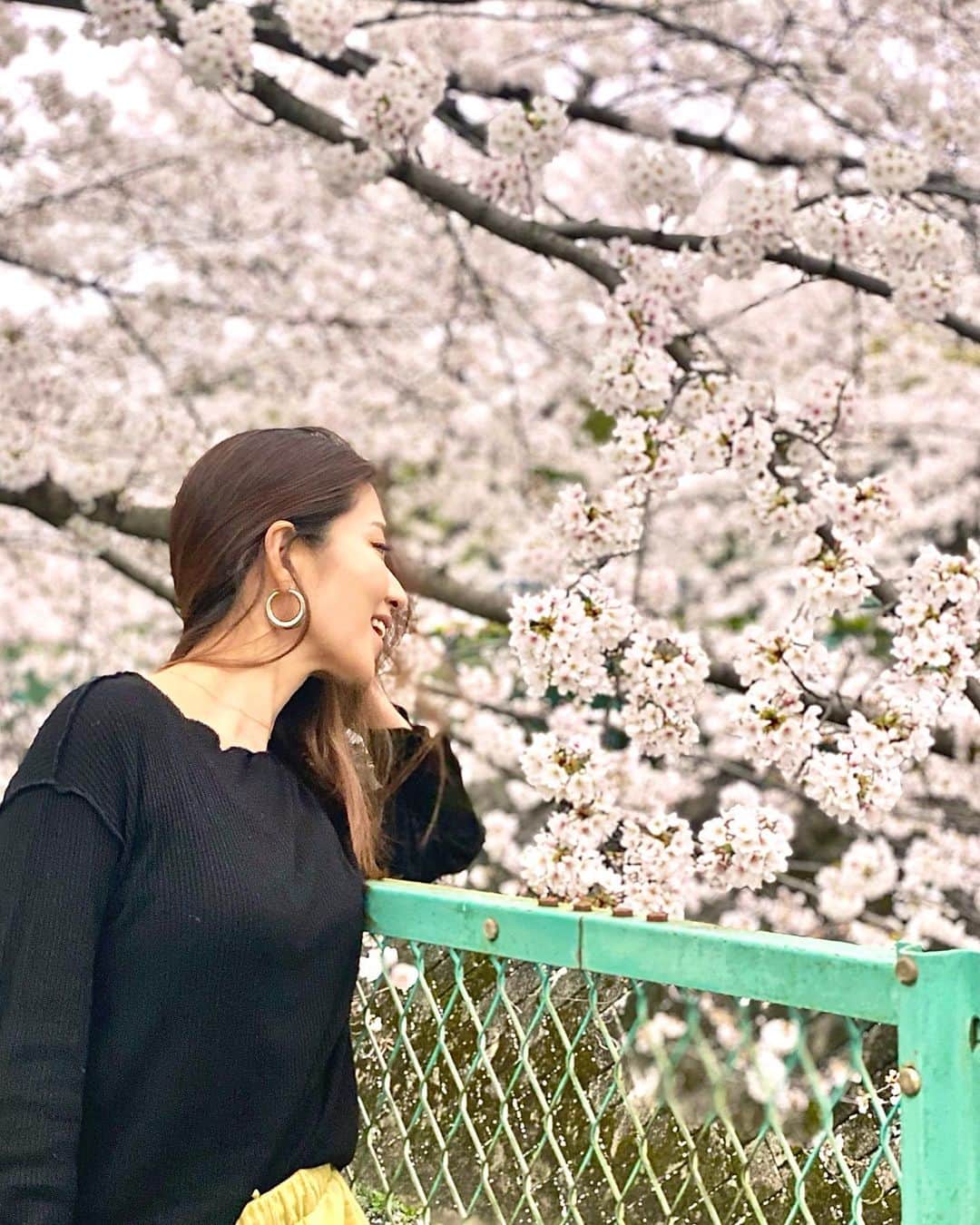 上原歩さんのインスタグラム写真 - (上原歩Instagram)「🇺🇸🗽の友達とやりとりしてて 日本は桜咲いてるね〜 みんなの投稿きれいだね〜 桜みたいな〜 て。 大好きな街に移り住んでも 桜が恋しくなるんだもんね✨  日本が誇る桜だね🌸🌸🌸  毎年みるのに感動するんだもん 他国の方達にはきっと圧巻よね✨  私は桜を見ると必ずほわほわ触ってしまうのだけど 美しいものって どうして触りたくなっちゃうんだろう🌸  ___________________________  #love #life #happy  #cherryblossom  #sobeautiful」4月3日 12時54分 - ayumiuehara