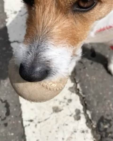 関野剛平のインスタグラム