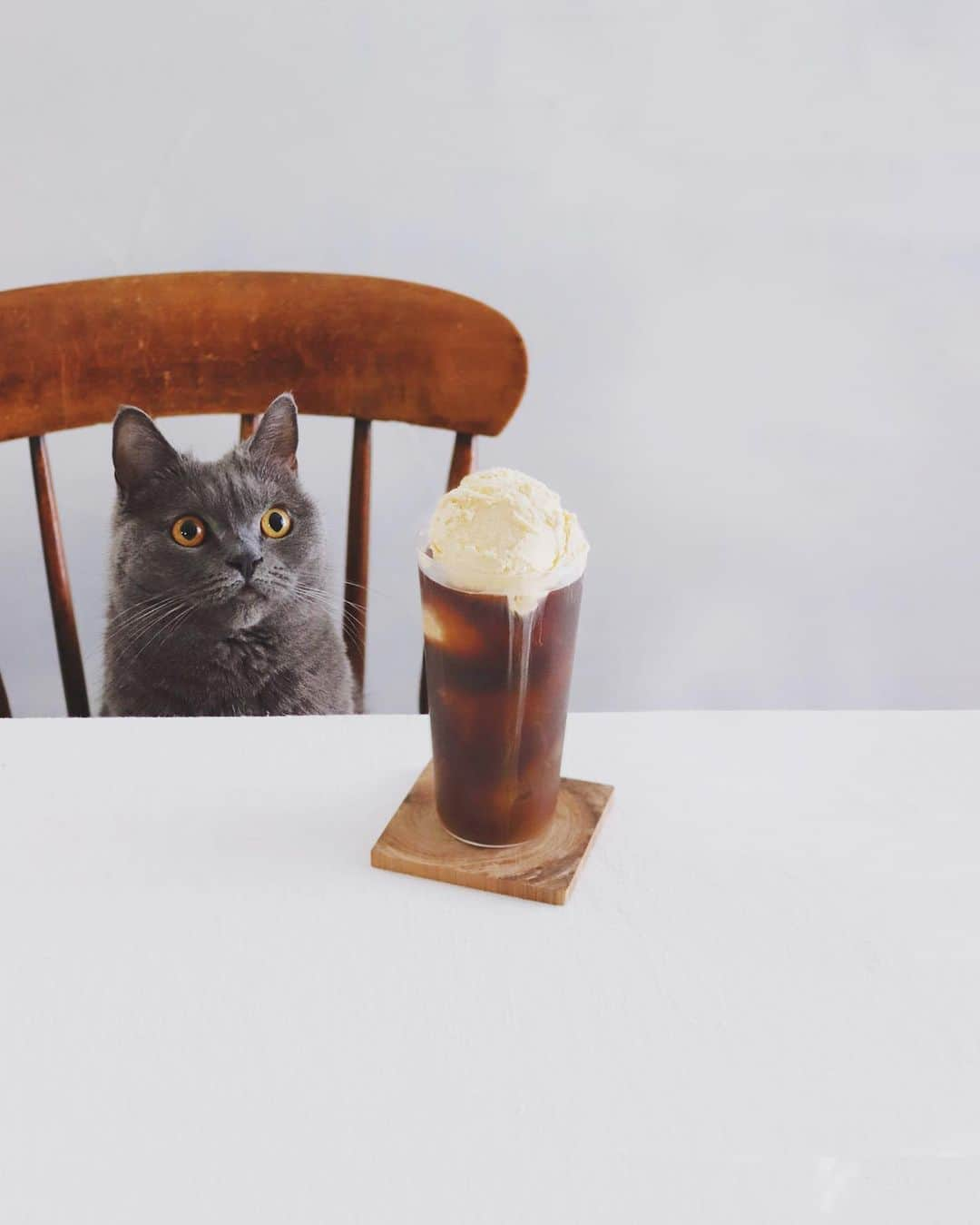 樋口正樹さんのインスタグラム写真 - (樋口正樹Instagram)「Coffee float . 食後のコーヒーフロート。 レディボーデンのバニラ、 ダブルで入れたんだけど ちょい溢れそうで危ない😅 . . #アイスコーヒー #アイスコーヒーはじめました #コーヒーフロート #コーヒーと猫 #レディーボーデン #coffeefloat #coffeebreak #coffeegram #coffeelove #bonahiguchi」4月3日 13時48分 - higuccini