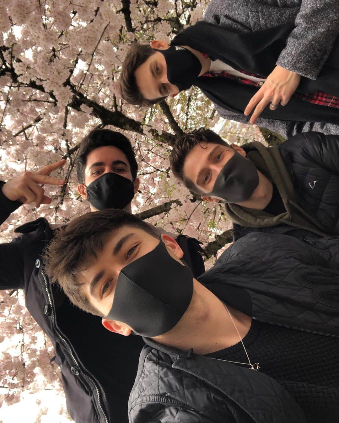 大島アンディのインスタグラム：「toxic maskulinity #さくら #懐かしい」