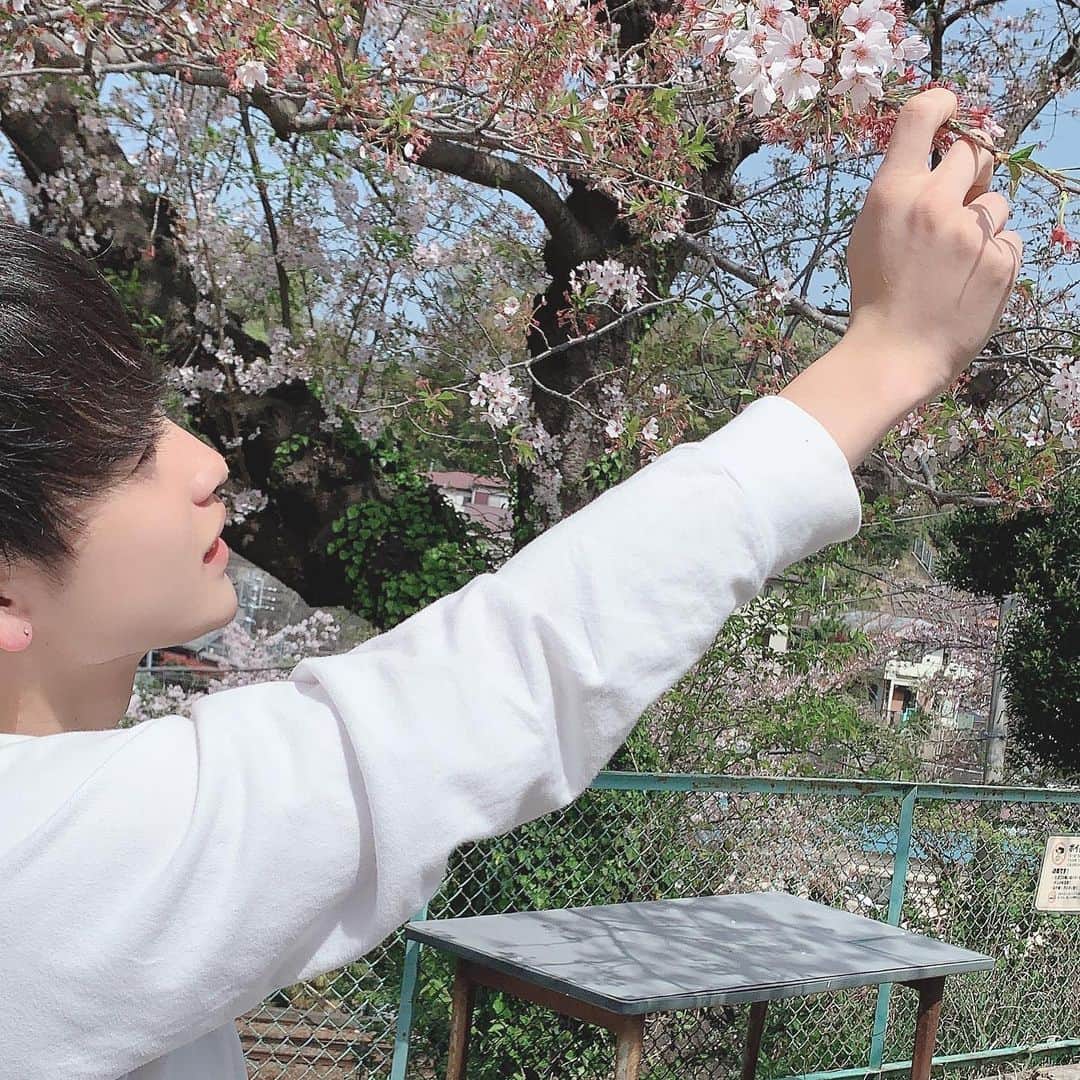 古野瑛さんのインスタグラム写真 - (古野瑛Instagram)「春だね！暖かいね！楽しいね！」4月3日 15時22分 - akira.furuno