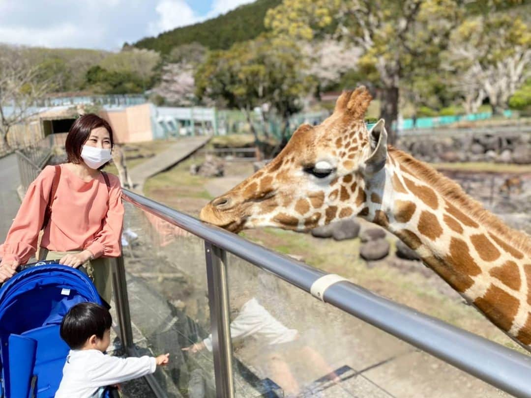 本多真弓のインスタグラム