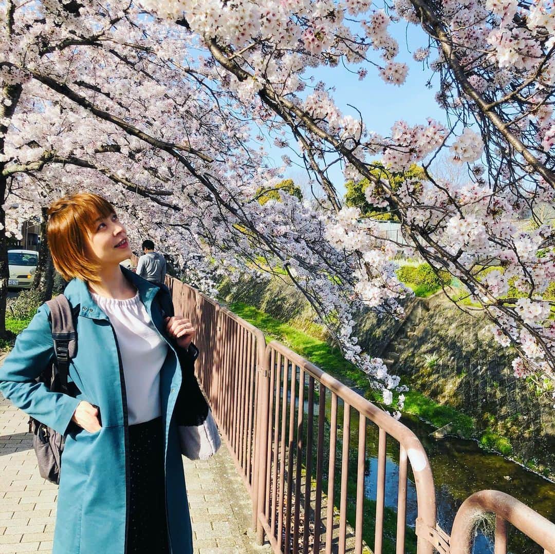 のインスタグラム：「沸騰ワード10 ご覧頂きありがとうございました。  合格者の皆さん改めておめでとうございます。 当スクールから内部生が8名、 外部生が1名。 合計9名の教え子がタカラジェンヌの扉を開けました。  運、縁、実力、素質が伴い選ばれた40人ですから、今日の感動、感謝、初心を忘れず稽古に励み、ステキなタカラジェンヌになってください。 私の役目は育てて見送る。 これからは、いち宝塚ogとして皆さんの成長を楽しく見守っていきますし、何かあればいつでも相談してくださいね。応援しています。  夢が叶った子はいいんです。 夢が叶わない人の方が断然多い宝塚の厳しい世界。 いつもこの時期は嬉しいけれど、悲しさや悔しさで胸が締めつけられるような苦しみと対峙しなくてはなりません。  やり遂げた事に納得する子。 周りの方々に申し訳ないと思う子。 周りや自分を責めてしまう子。 愛の裏側憎しみに変わってしまう子。 本当に色々な生徒さんがいます。 今のちっぽけな自分にできることはあるのかと自問自答を繰り返します。  この一年走り続け、一区切りがつき、 宝塚からの帰りに京都に立ち寄り 【哲学の道】を歩きました。 満開の桜🌸が何処までも何処までも果てなく続く道。  ふと人生のようだなって感じました。  桜を咲かせたい！！その一心で努力を惜しまずひたすらに突き進んでいますが、 もう人生は始まった時から桜は🌸咲いているんじゃないかと。  長い人生。 今体験していることは 〈自分に必要な事が起きている〉 そう受け止めます。  ラストチャンスで夢潰えてしまった大切な生徒が、今がこんなに苦しいなら高一くらいで諦めれば良かったと言いました。 今、思い出すだけで泣けてきます。 勿論彼女の本心ではないです。 知ってます。  愛が強いほど執着し失った時、絶望します。 今は恨みたくなるくらい辛いけれど、 それも必ず過去になります。 けれど同じ夢を持つ仲間達と青春の全てを懸けて過ごしてきた時間は、色褪せることが無いキラキラした宝石のような時間。 いつか宝塚受験生で良かったなって思える時がくると私は信じています。  夢を見つけた子は強い！ そして諦めず最後まで努力を惜しまず続けられた貴女は最強です。桜は満開ですよ。  夢中になれることに出会えたらそれはもう才能ですよ。  今、やっていることが どこかに繋がっていると信じて。 みんなが幸せな人生を歩めますよう、 心から祈っています。  新年度が始まりました。 私を頼ってくれる生徒がいる限り、 私のやるべき事を、 全て受け止め強く優しく生きていきたいと思います。  哲学の道だからなんかつい、そんな事を考えながらひたすらテクテク歩きました。  長文をダラダラとすみません。」