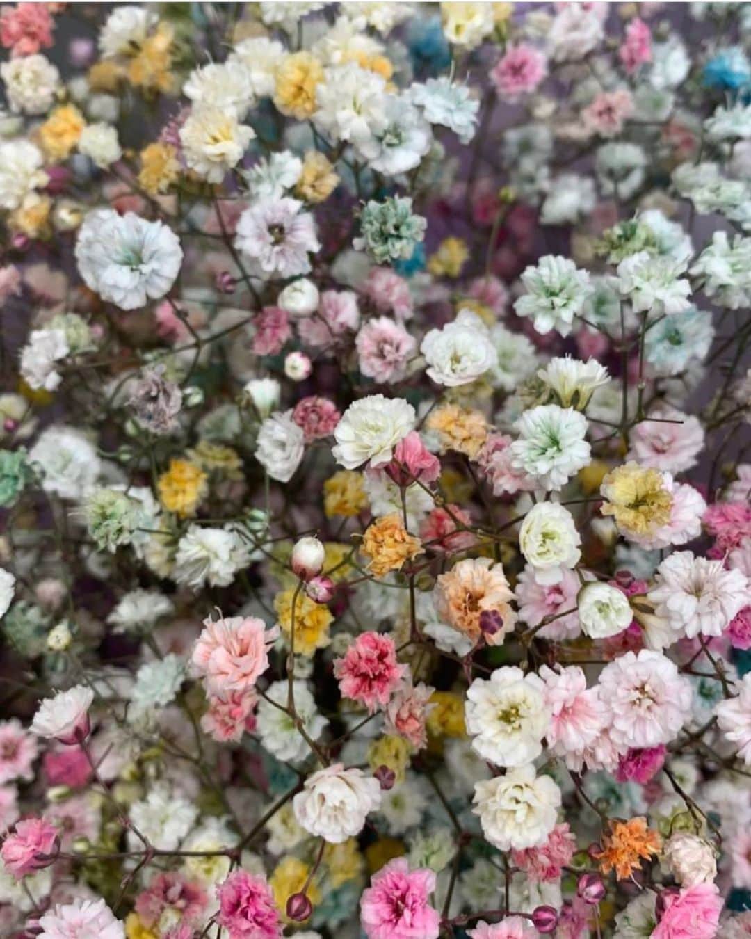 のインスタグラム：「.﻿ 	﻿ ‘I must have flowers, always and always' - Claude Monet﻿ ﻿ @billaltaright via @ad_magazine﻿ ﻿ #mariha #jewelry #kachofugetsu #quotes #inspiration #imageoftheday #マリハ #ジュエリー #花鳥風月 ﻿ ﻿」